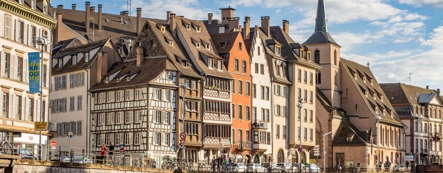 Seminario (Re)generation