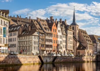 Seminario (Re)generation