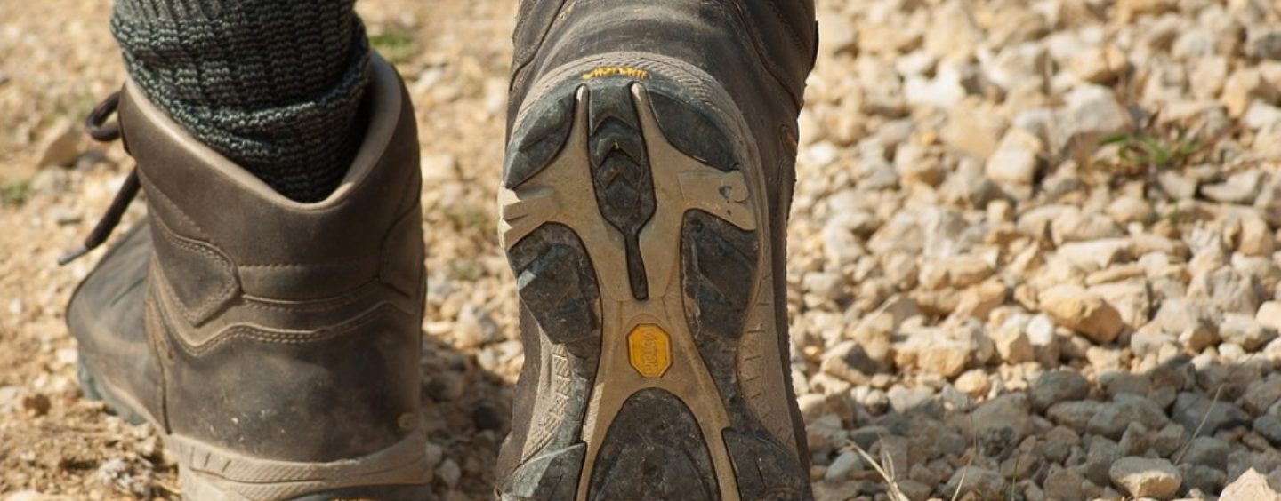 Guida naturalistica: l’escursionismo diventa un lavoro
