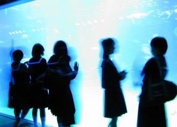 2 borse di studio per il Giappone