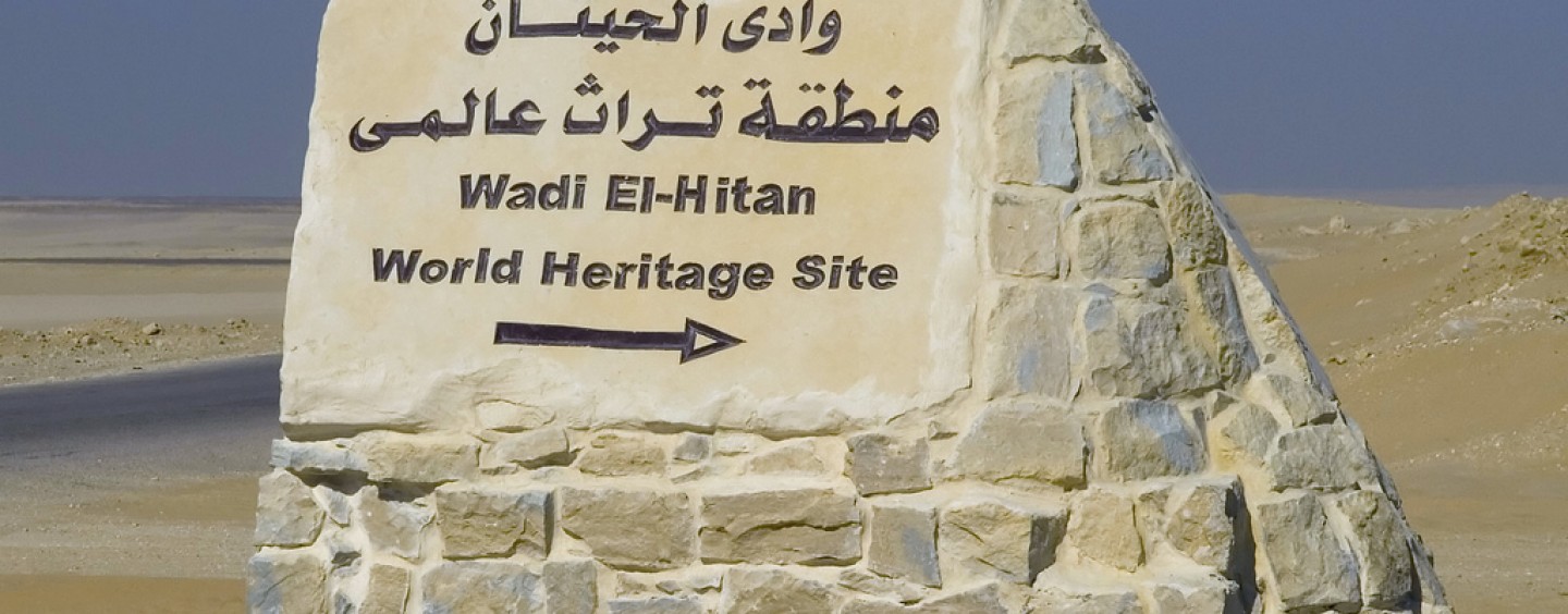 Borse di studio per l’Egitto