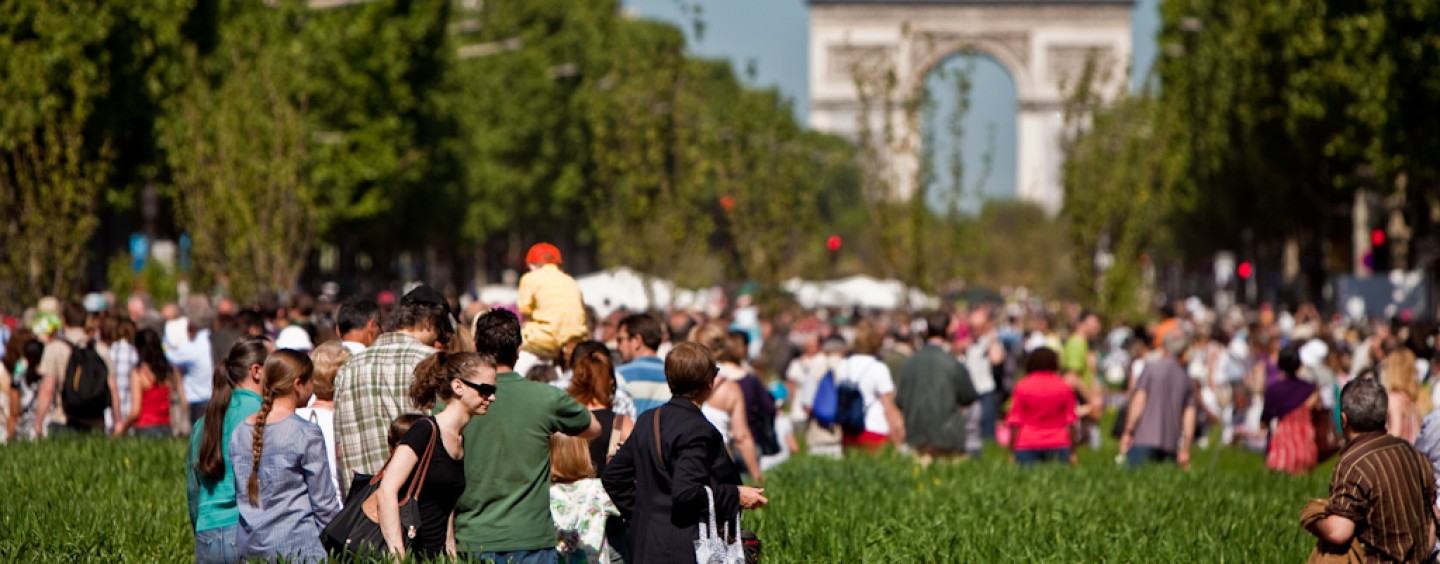 Borse di studio Green talents