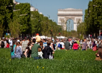 Borse di studio Green talents