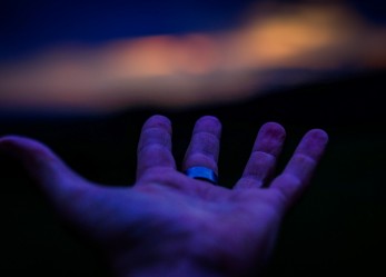 Servizio Civile Nazionale – Bando regionale 2016