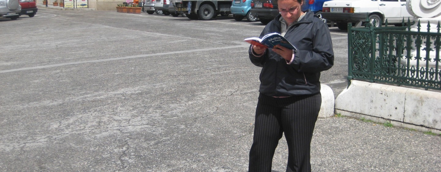 Borse di studio annuali e estive per Malta