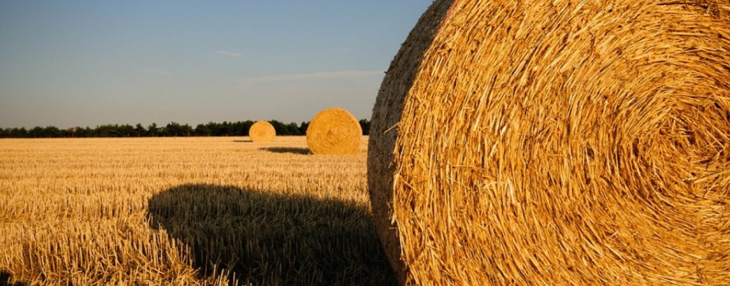 Lavoro stagionale? Cercalo ora!