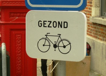 4 borse di studio per un’estate in Belgio