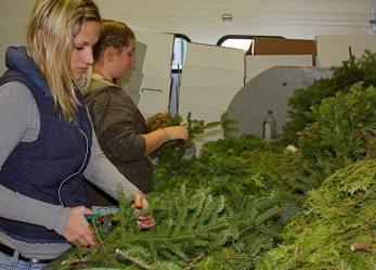 Un lavoretto estivo all’estero… per il mese prossimo