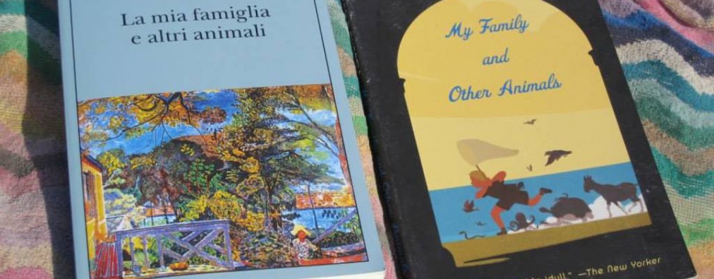 Traduttore professionista