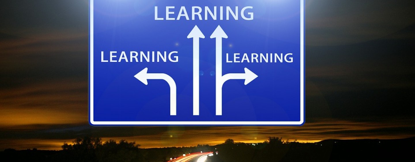 Imparare facendo? Scegli il percorso che fa per te