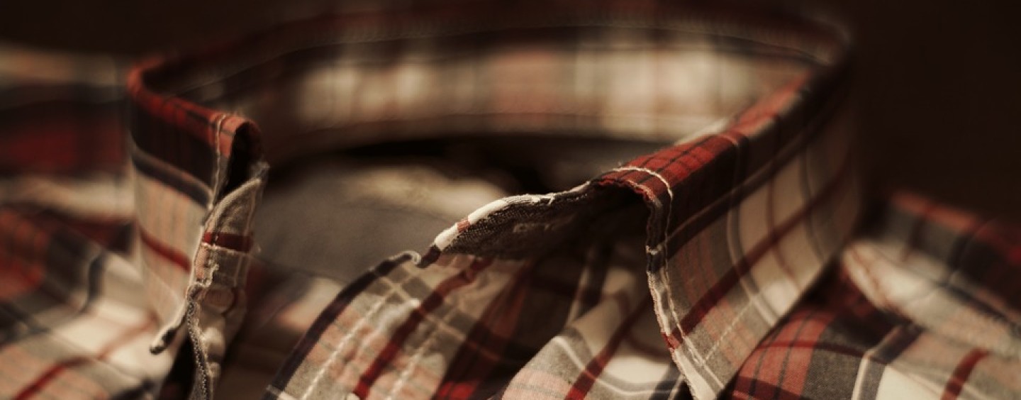 Operatore forestale, il moderno boscaiolo