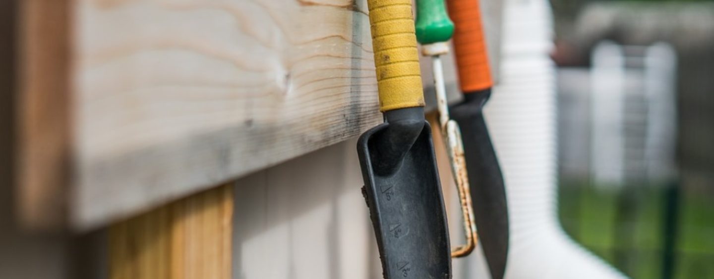 Giardiniere: lavorare all’aperto invece che alla scrivania