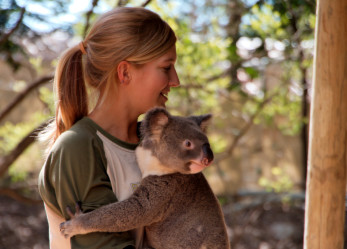 On the road attraverso l’Australia