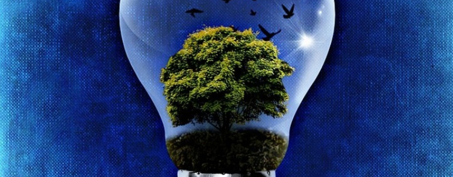 Concorso tesi di laurea “Technology for Human Beings”