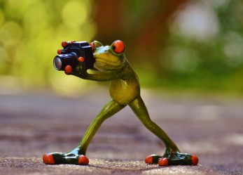 Maratona? Sì, ma fotografica!