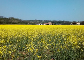 Diventa protagonista di National Geographic Italia con il concorso fotografico 2016