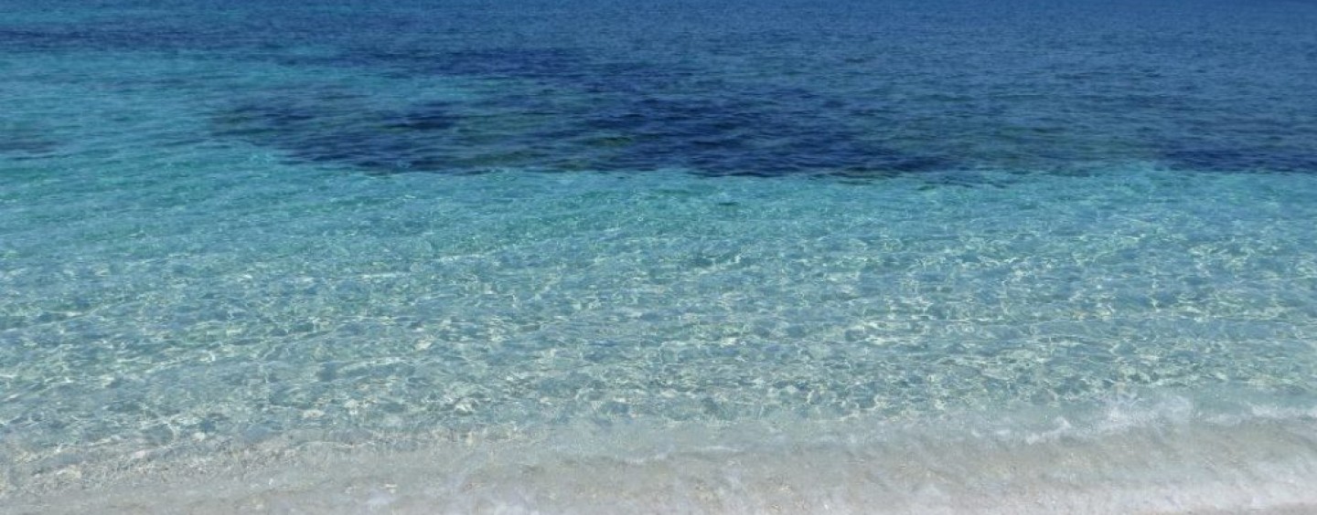 Bluserena cerca personale