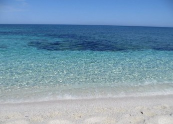 Bluserena cerca personale