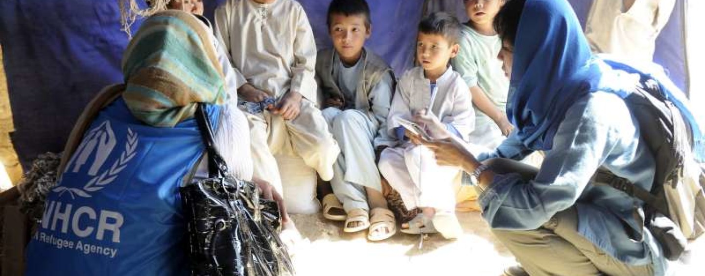 2 anni Junior professional officer per un futuro nelle organizzazioni internazionali