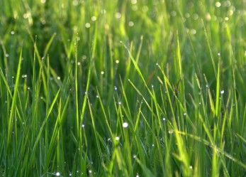 Klimahouse Startup Award, un premio per startup green