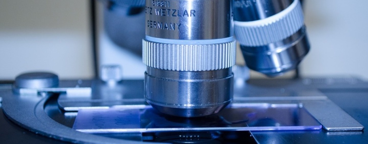 Una borsa di studio per giovani ricercatori in ambito oncologico