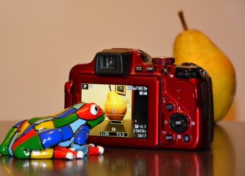 Giovane fotografo? Youth ti premia!