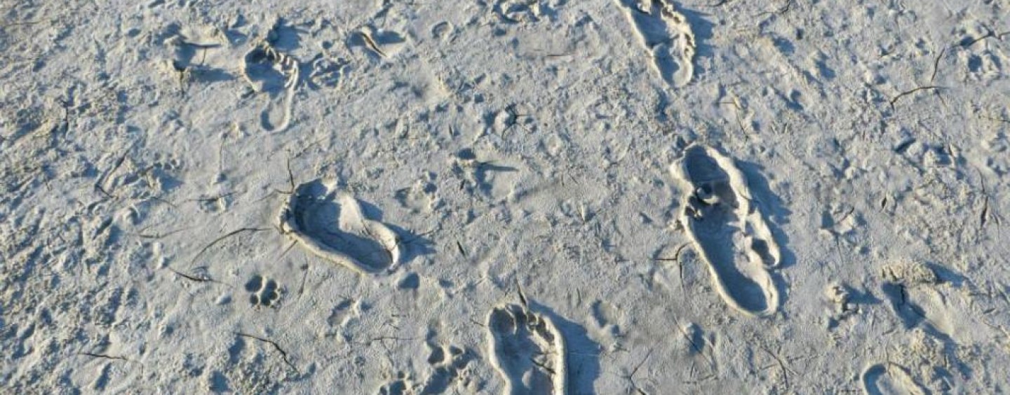 Hai fatto una tesi sul tema del viaggio? Potresti essere premiato