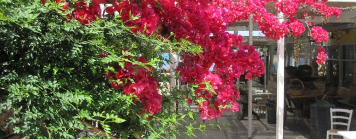 Lavoro stagionale: selezioni aperte per animatori