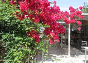 Lavoro stagionale: selezioni aperte per animatori