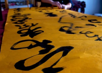 11 studenti per la Cina