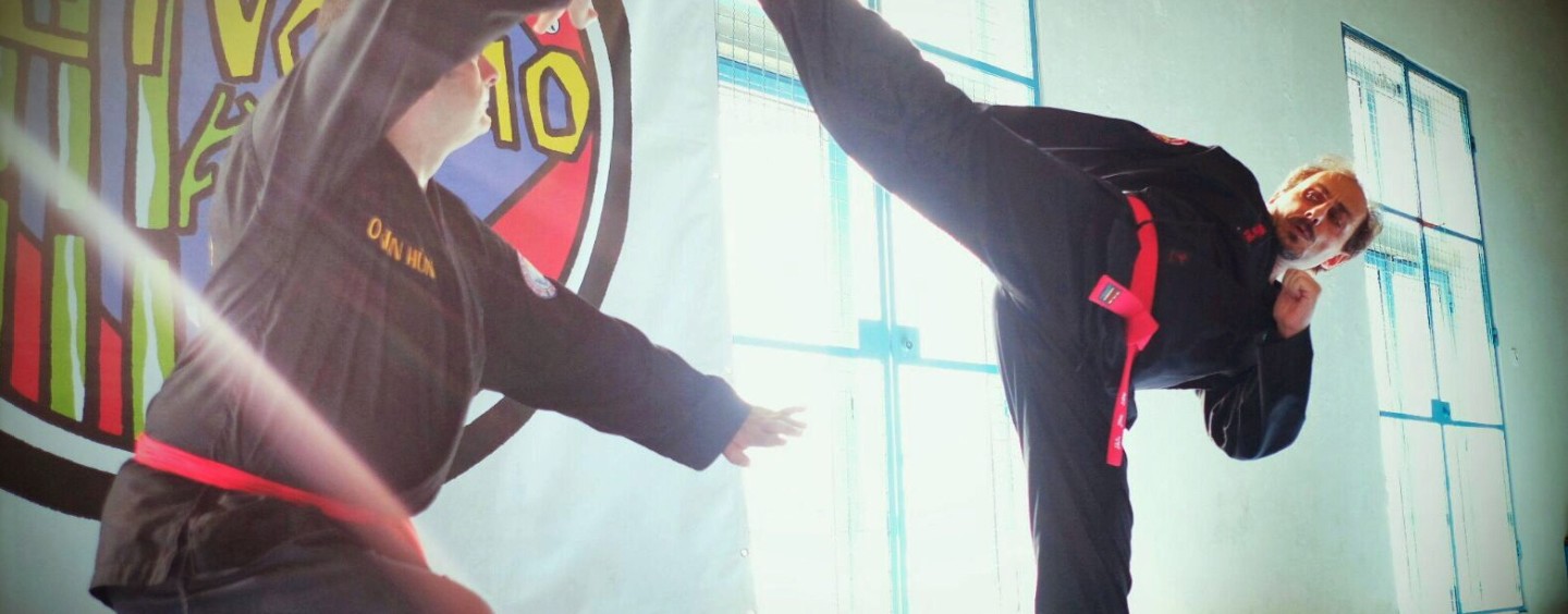 Corso di VIET VO DAO (arti marziali vietnamite)