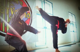 Corso di VIET VO DAO (arti marziali vietnamite)