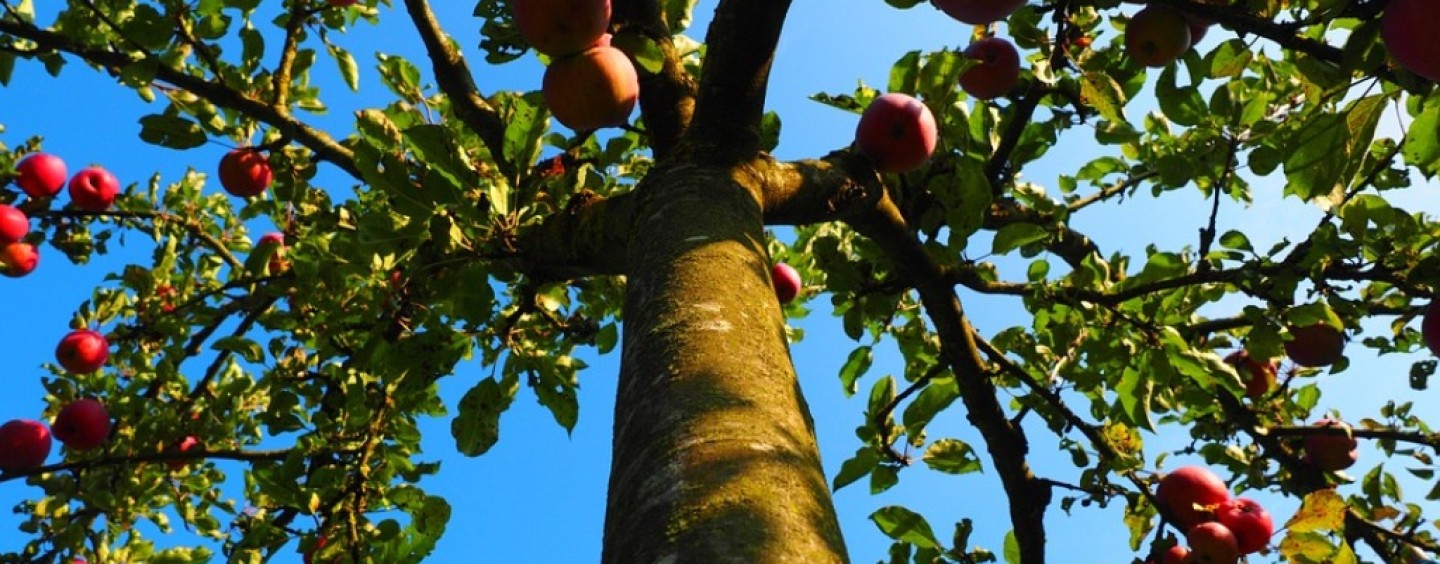 Perito estimatore danni da avversità atmosferiche: corso di avviamento