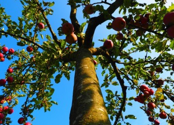 Perito estimatore danni da avversità atmosferiche: corso di avviamento
