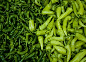 Giovane agricoltore? Prova a vincere un Oscar!