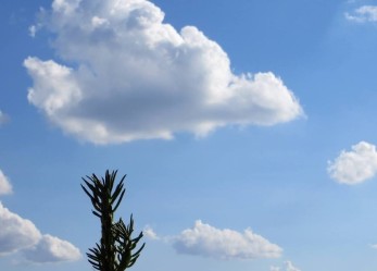 Ecogestioni cerca un consultant ambientale con esperienza