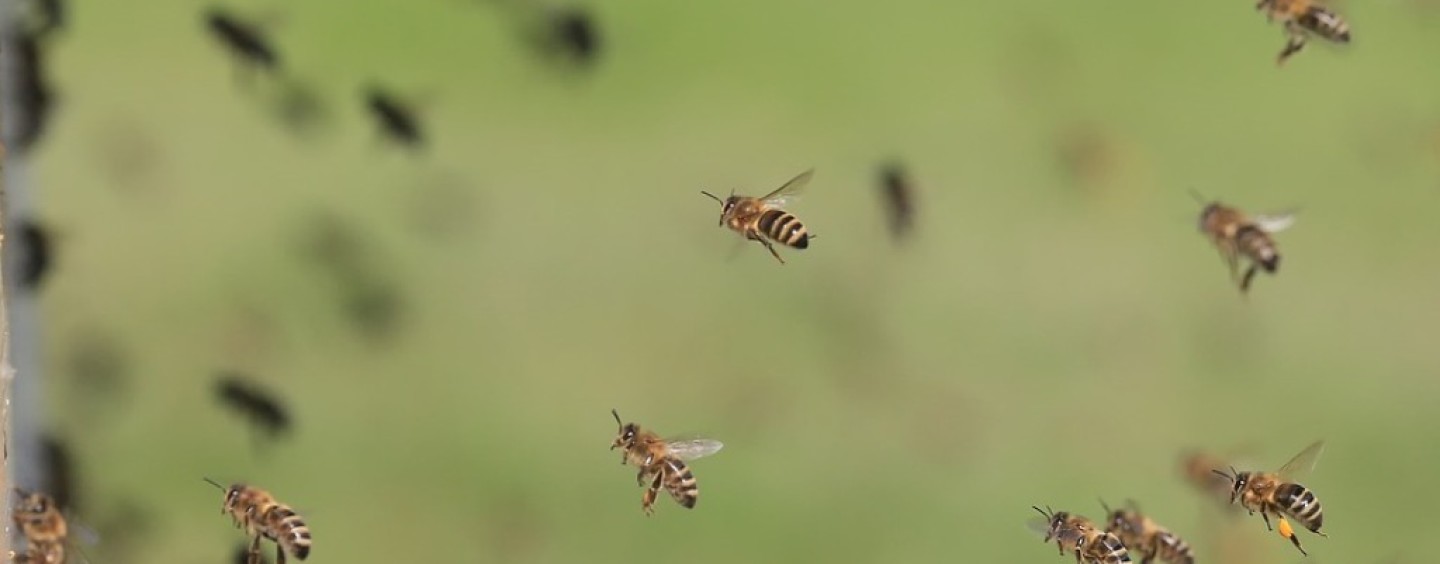 Corso gratuito di comunicazione efficace