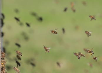 Corso gratuito di comunicazione efficace