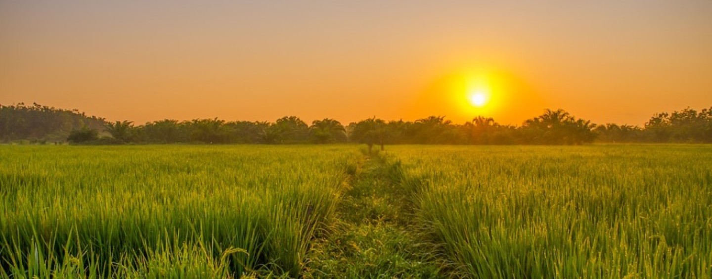 Io penso circolare, premio per l’economia che riusa e non spreca