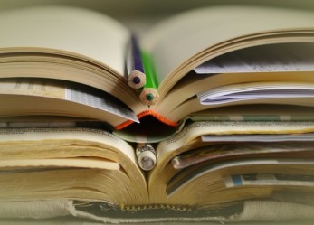 Corsi a pagamento al Bonsigliori di Remedello