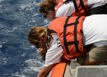 L’Informagiovani presenta: campi di lavoro all’estero