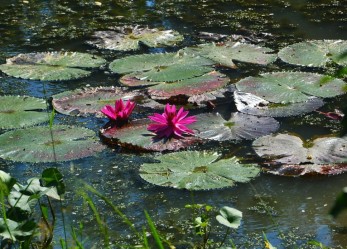 Opportunità di lavoro stagionale nei parchi acquatici
