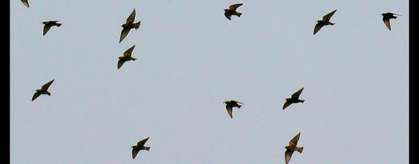 Informagiovani Sirmione: un incontro per chi vuole cambiare rotta.