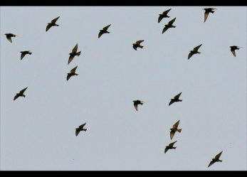 Informagiovani Sirmione: un incontro per chi vuole cambiare rotta.
