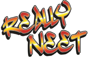 Entro 4 mesi dall’uscita dal sistema di istruzione formale…