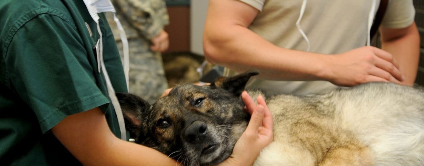 La mia qualifica professionale è riconosciuta all’estero