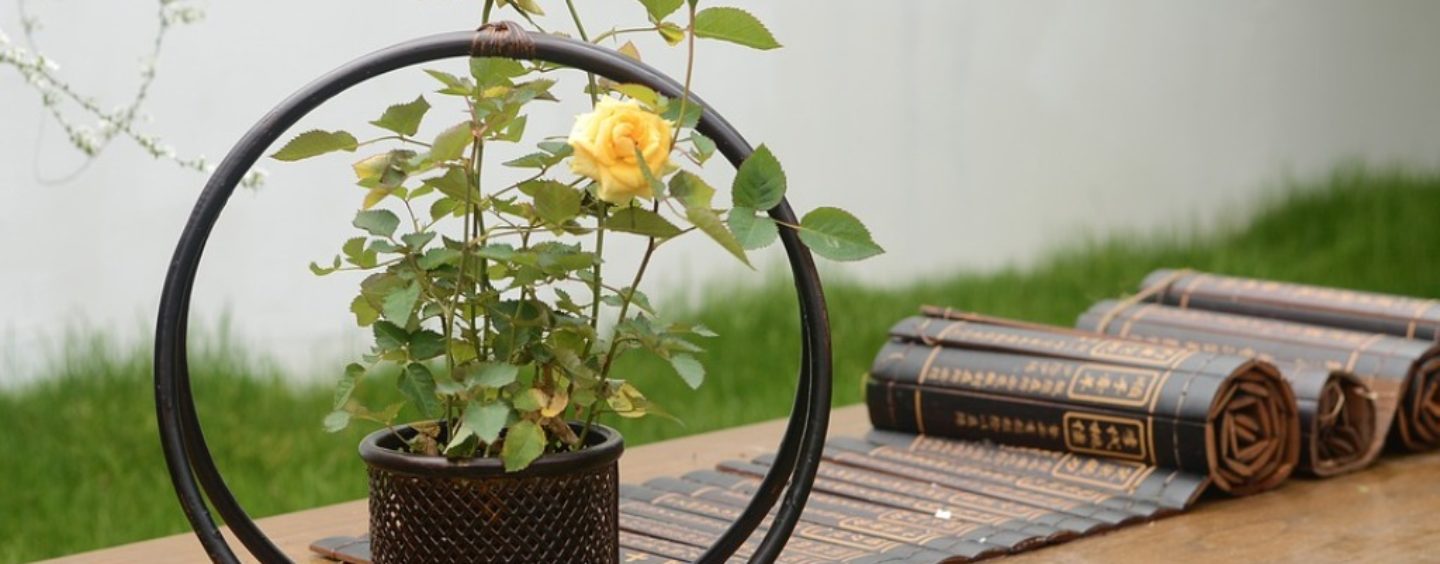 Maison du monde cerca personale