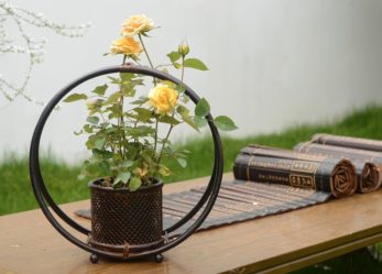 Maison du monde cerca personale