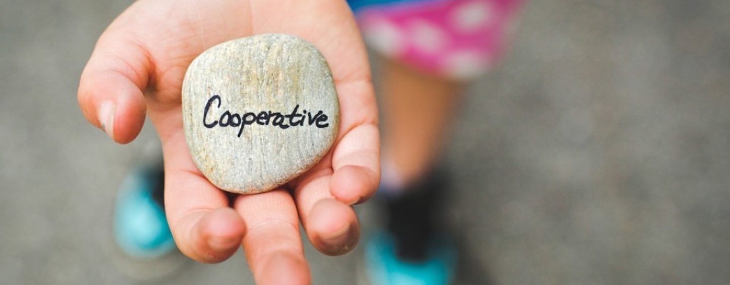 Corso di alta formazione in management cooperativo