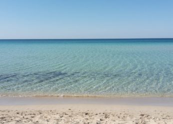 Atlantis Club cerca personale con esperienza a Montirone